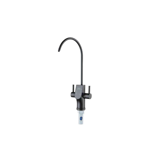 EcoFlow Gamma