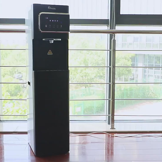 Direct flow water fountain