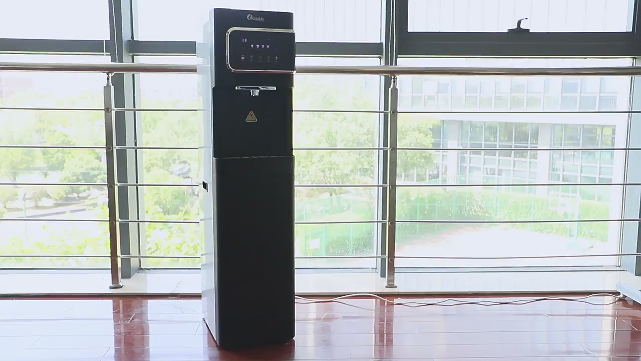 Direct flow water fountain